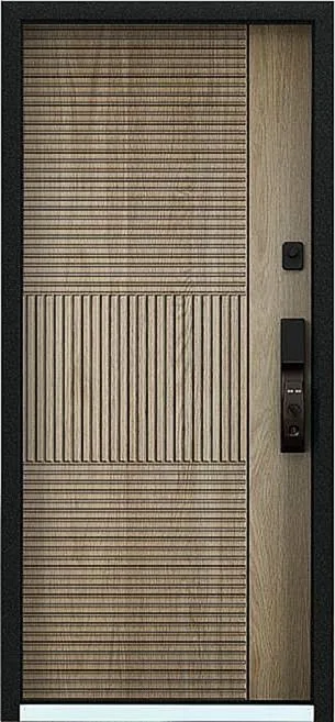 Входная дверь Mesonet-3 (Порошковое напыление / МДФ Винорит)